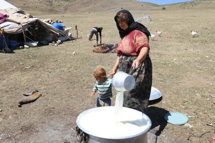 Izzivalno 'mlečno' potovanje nomadskih žensk na oslih!