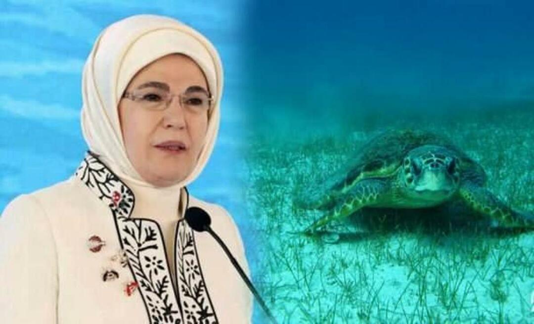 Delitev "morske želve" od Emine Erdoğan: "Dokler jih varujemo, bodo še naprej živele"