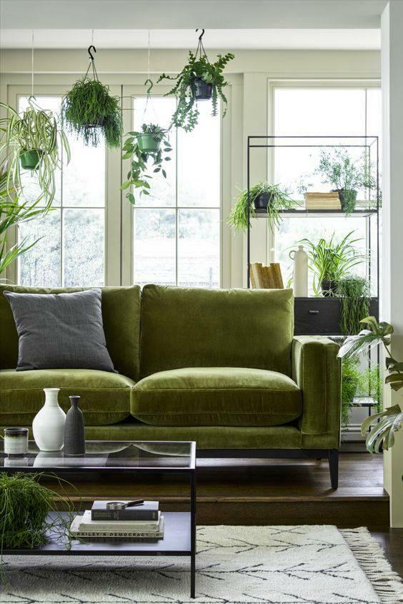 zelena dekoracija doma 