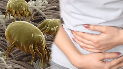 Kje je najbolj umazan del telesa in kako se čisti? Katere bolezni povzročajo zajedavci? 
