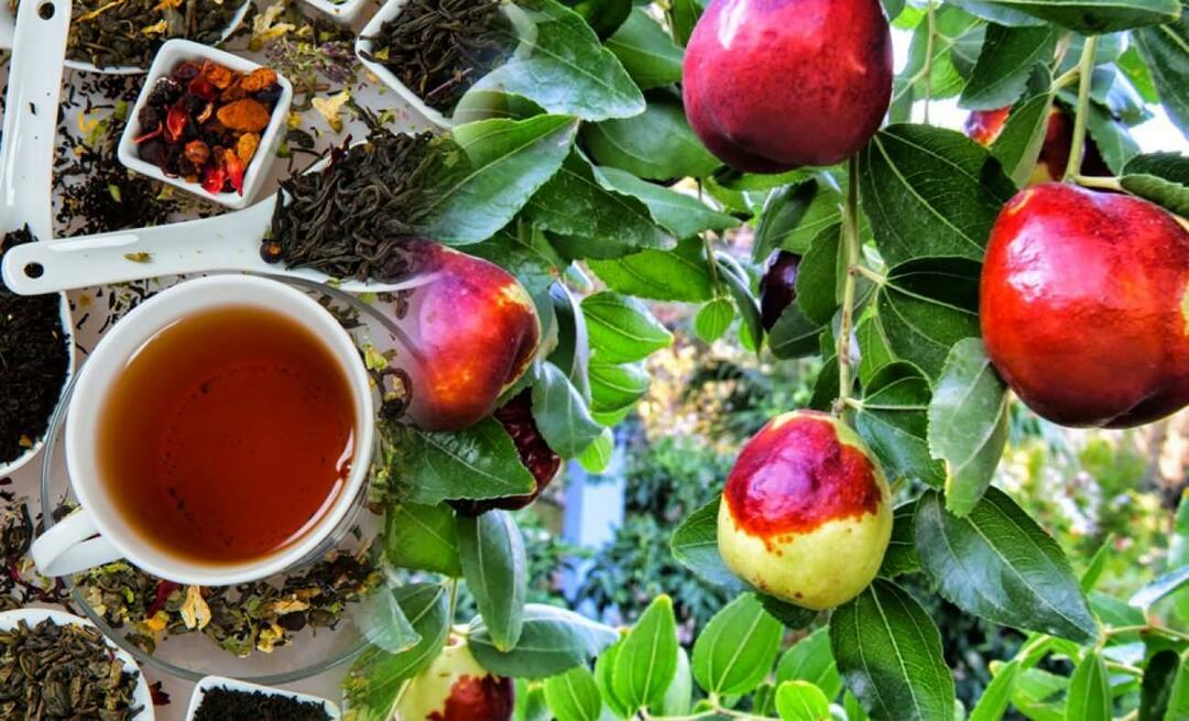 Kakšne so prednosti čaja iz žižole, ki ga priporoča Ibn Sina? Za kaj je dober čaj iz žižole?