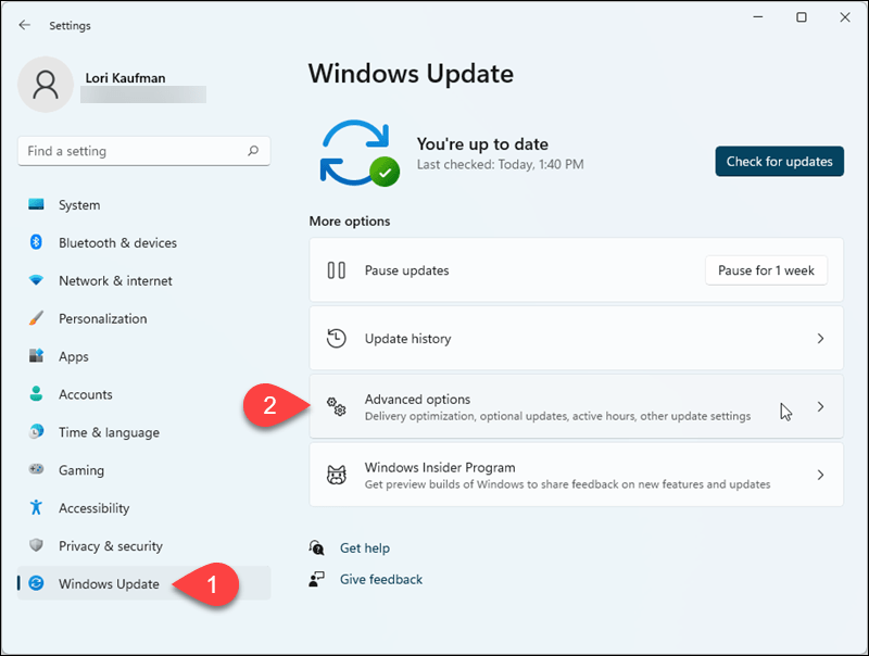 Pojdite na Windows Update> Dodatne možnosti v nastavitvah sistema Windows 11