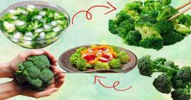 V kateri sezoni in mesecu raste brokoli? Kdaj jesti brokoli? 