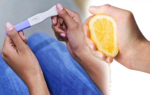 Kako narediti test nosečnosti z limono