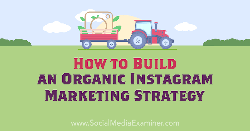 Kako zgraditi organsko tržno strategijo na Instagramu, Corinna Keefe na Social Media Examiner.