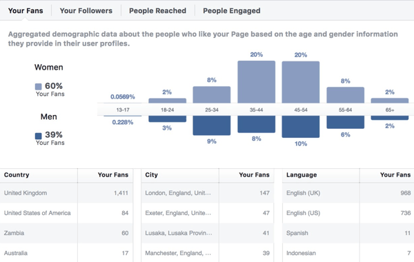 Facebook Insights demografski podatki o občinstvu.