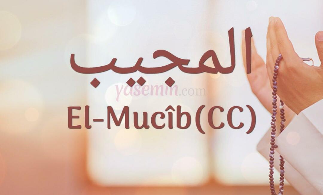 Kaj pomeni Al-Mujib (cc) iz Esma-ul Husna? Zakaj se izvaja dhikr Al-Mujib?
