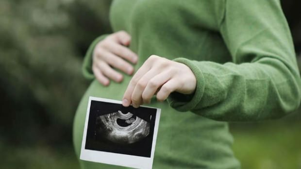 Kateri organ se najprej razvije pri dojenčkih? Otroški razvoj vsak teden
