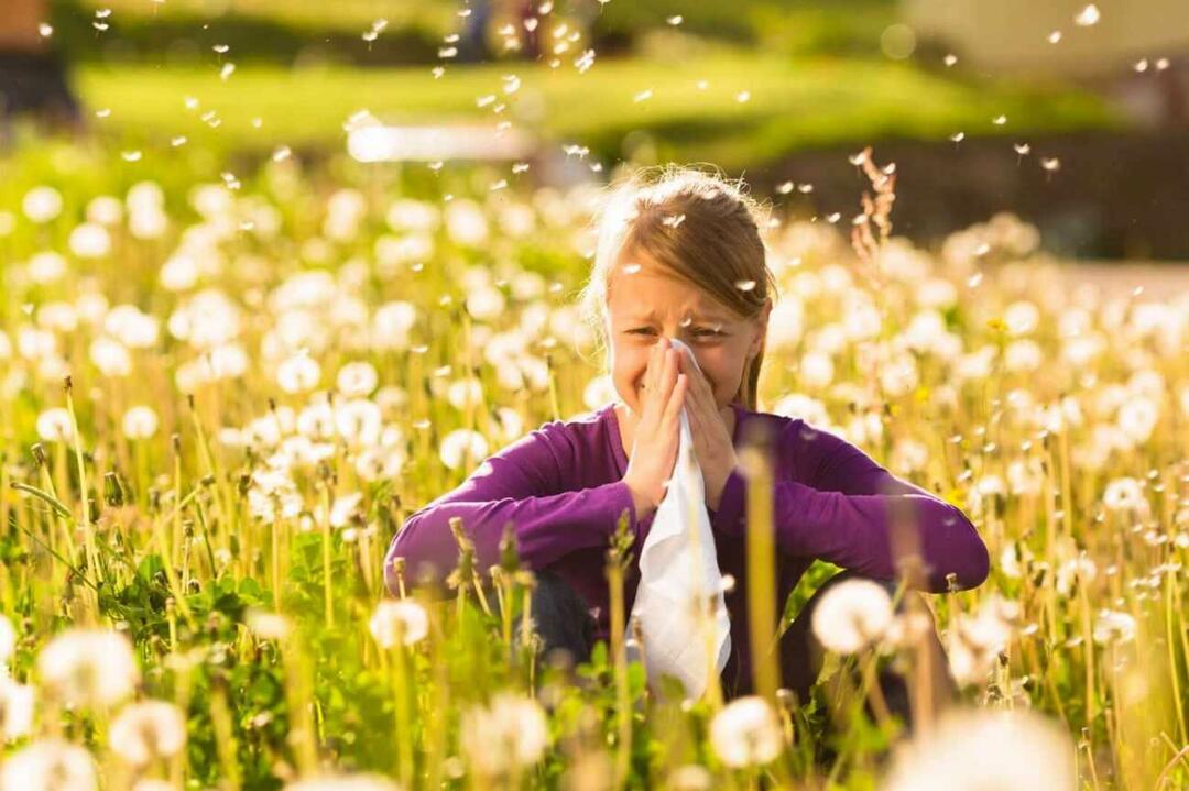 Kaj je treba upoštevati pri zaščiti otrok pred sezonskimi alergijami
