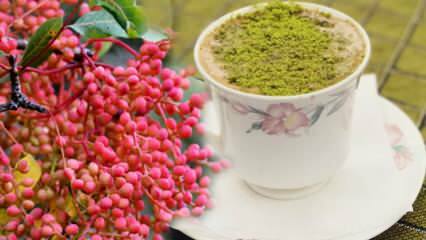 Kakšne so prednosti semena Menengiç (Çitlembik)? Kaj počne kava Menengiç?