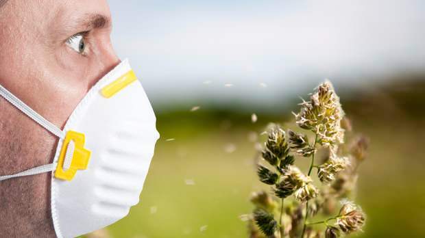 spomladansko alergijo povzročajo cvetni prah, hišni ljubljenčki, povišana temperatura in prah