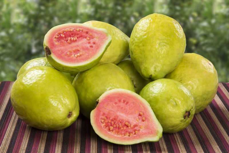 sadje guavana prehaja kot jagoda 