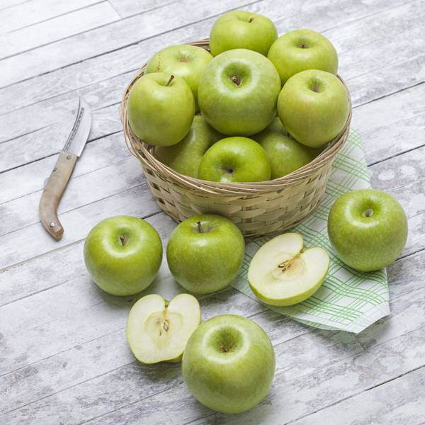 jabolčna dieta
