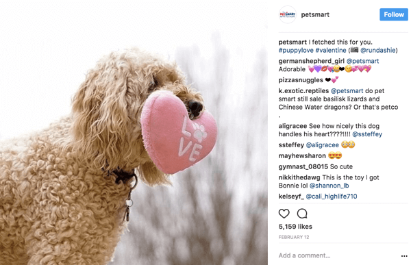 Ko PetSmart znova deli uporabniške fotografije na Instagramu, dodelijo fotografijo originalnemu plakatu v napisu.