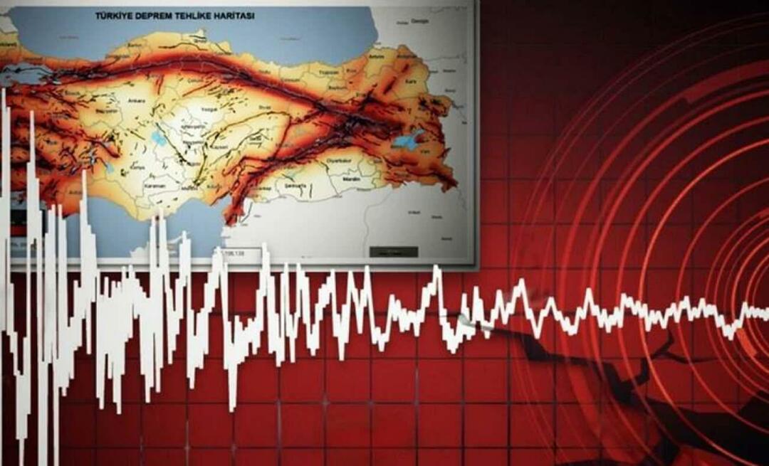 Katera so potresna območja v Turčiji? Kako narediti poizvedbo o napaki?