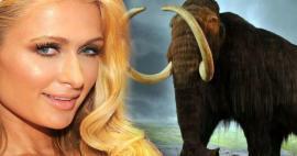 Paris Hilton svoj denar vložila v mamute! 