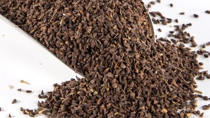 Kakšne so prednosti semena Uzerlik? Kako narediti čez semena Üzerlik čaja?