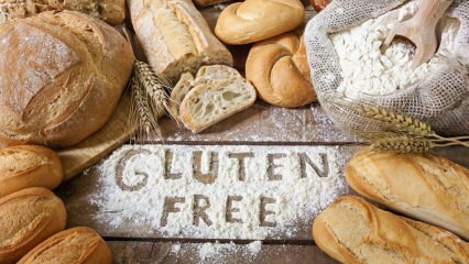 Kaj je dieta brez glutena, kako se to izvaja? Zdrava prehrana brez glutena