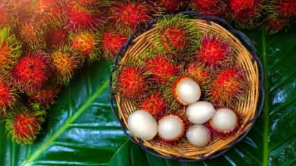 Kaj je Rambutan? Kakšne so prednosti sadja Rambutan? Kako jesti rambutan?