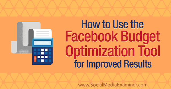 Kako uporabiti orodje za optimizacijo proračuna Facebook za boljše rezultate, avtor Meg Brunson v programu Social Media Examiner.