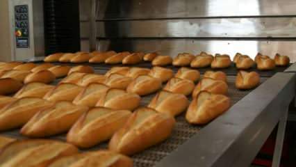 Strokovnjaki so opozorili: kruh postavite v pečico na 90 stopinj za 10 minut