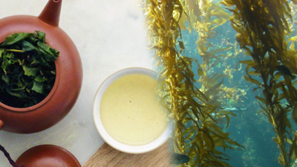 Kakšne so prednosti mahu? Kako narediti čaj iz morskih alg in v čem je dober?