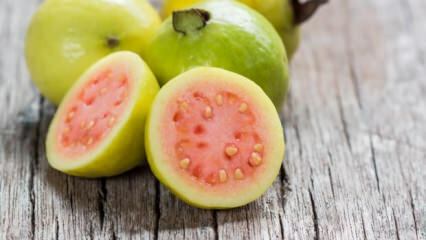 Kaj je sadje guave? Kakšne so koristi?