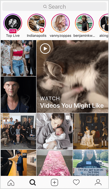 Zavihek Instagram Explore vsebuje zgodbe nad mrežo slik in videoposnetkov predstavljenih ustvarjalcev. Slike vključujejo množico ljudi, video posnetek sive in bele mačke, portret belca v črnem klobuku in jakni, obrnjeni naprej, in belko, ki drži novorojenega otroka.