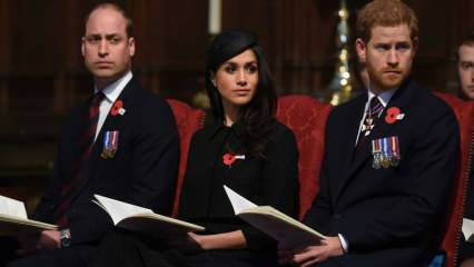 Trditev, da princ William in princ Harry dva meseca nista govorila! 