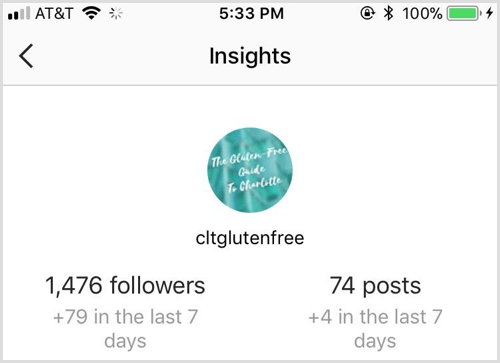 Pregled Instagram Insights
