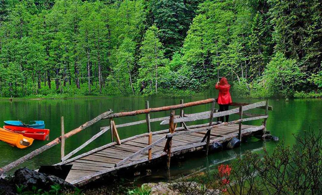 Kje je Artvin? Kam iti v Artvin? Katere kraje je treba obiskati v mestu Artvin?