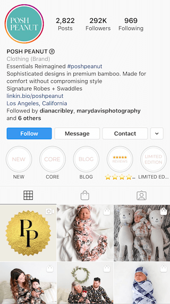 primer Instagram bio optimiziran za poslovanje