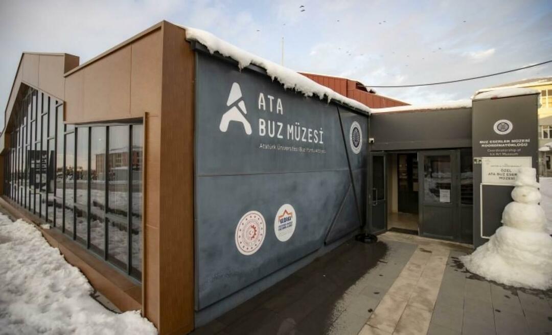 Študenti univerze Atatürk v Erzurumu spreminjajo ogromne ledene gmote v umetniška dela