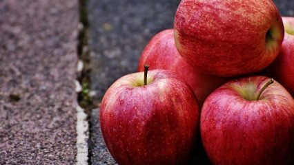 Kakšne so prednosti uživanja jabolk med nosečnostjo?