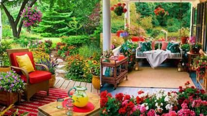 Rože, ki jih lahko jeseni uporabite na svojem vrtu in balkonu!