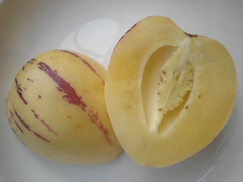 sadje pepino je rezano kot melona kot podoba