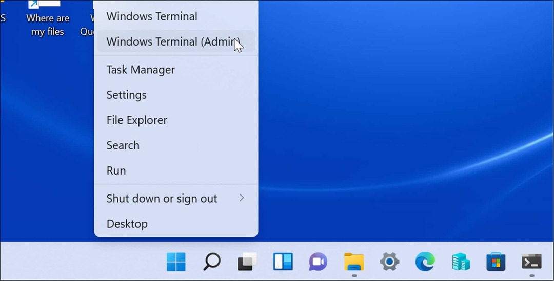 Skrbnik terminala Windows Windows 11