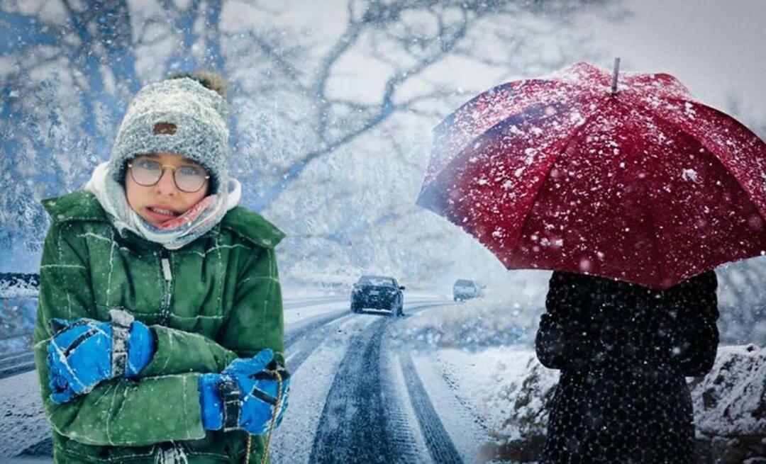 Kaj je zima La Nina? Kdaj se začne zima La Nina? Kdaj bo snežilo?