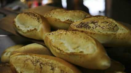 Kako se ocenjuje ustaljeni kruh? Recepti, narejeni s stalim kruhom