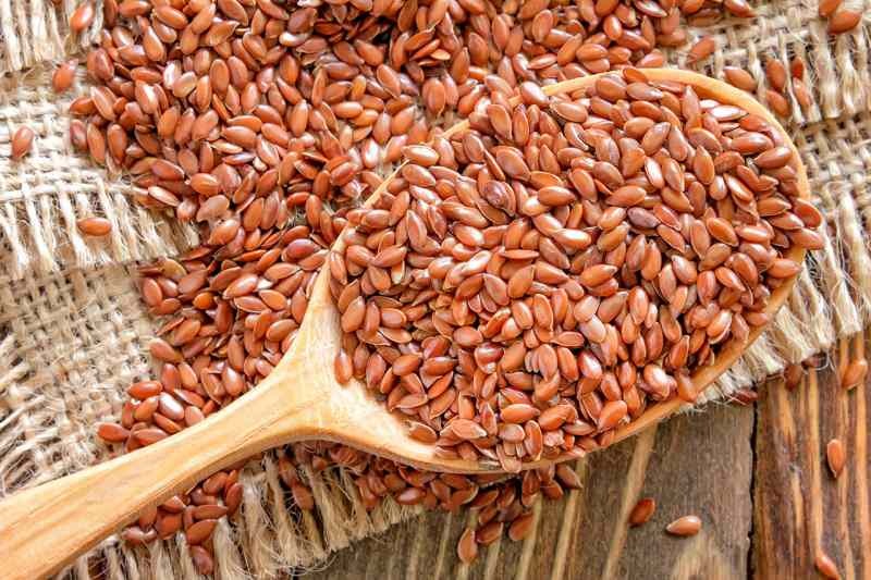 lanena semena so bogata z vitaminom e