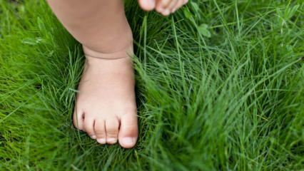 Kako se izračuna velikost otroškega čevlja? Kako izbrati prve čevlje?