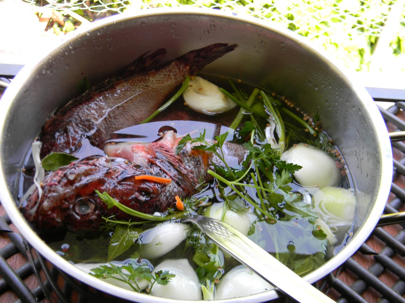 Kako najlažje narediti ribje juhe iz škorpijona? Nasveti za škorpijonovo juho