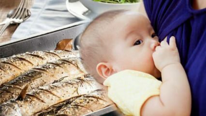 Ali lahko ribe jeste med dojenjem?