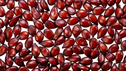 Kakšne so prednosti kutinovih semen za kožo? Kako se kutinovo seme nanese na kožo?