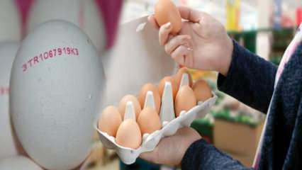 Kako se razume organsko jajce? Kaj pomenijo jajčne kode?