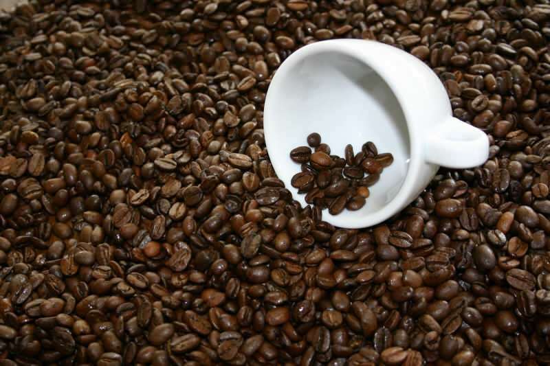 Kje kupiti kakovostna kavna zrna