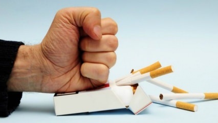 Učinki opustitve kajenja na telo! Kaj se zgodi v telesu, ko prenehate s kajenjem?
