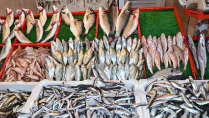 Kako odstraniti torične ribe? Triki za pridobivanje toričnih rib