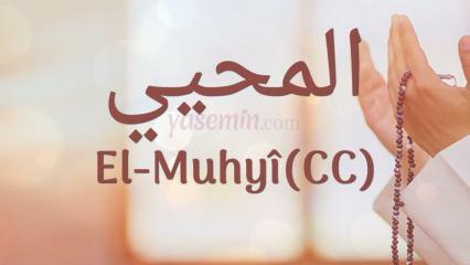 Kaj pomeni al-muhyi (cc)? V katerih verzih je omenjen al-Muhyi?
