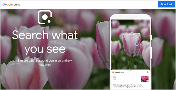 To je posnetek zaslona spletnega mesta Google Lens. Na vrhu spletnega mesta se prikaže bela vrstica. Na levi je ime Google Lens. Na desni je modri gumb za prenos. Glavno področje spletne strani ima foto ozadje, ki prikazuje cvetove različnih roza tulipanov. Na levi strani se nad sliko v ozadju prikaže bel logotip Google Lens, skupaj z naslednjim besedilom: »Poiščite, kar vidite« in »Raziščite, kaj je okoli vas, na povsem nov način«. Na desni simulacija pametnega telefona prikazuje aplikacijo Google Lens, ki identificira tulipan. Mike Rhodes pravi, da je Google Lens primer umetne inteligence.